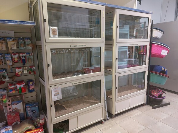 5#7868 Attrezzatura per negozio in vendita - foto 4