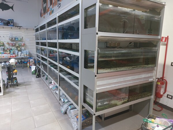5#7868 Attrezzatura per negozio in vendita - foto 5