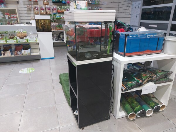 5#7868 Attrezzatura per negozio in vendita - foto 6
