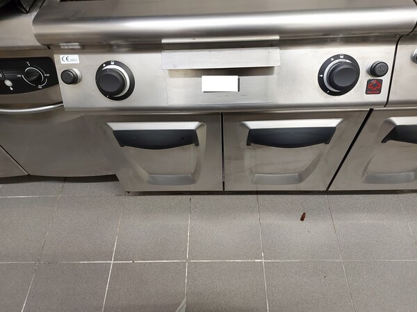 19#7891 Frytop a gas in vendita - foto 3