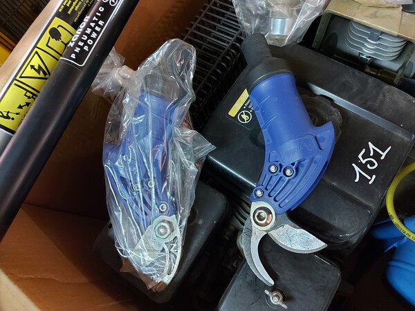 151#7892 Kit olivo Silver in vendita - foto 8