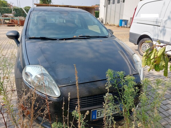 5#7899 Autocarro Fiat Punto in vendita - foto 4