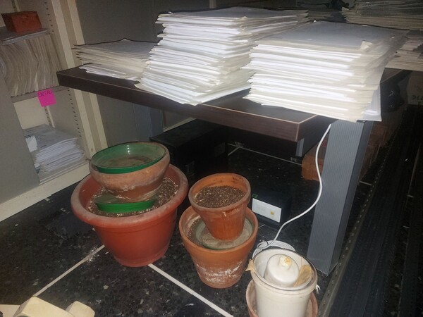 1#7904 Arredi da ufficio e materiale informatico in vendita - foto 40