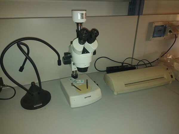 17#7923 Attrezzatura da laboratorio in vendita - foto 2