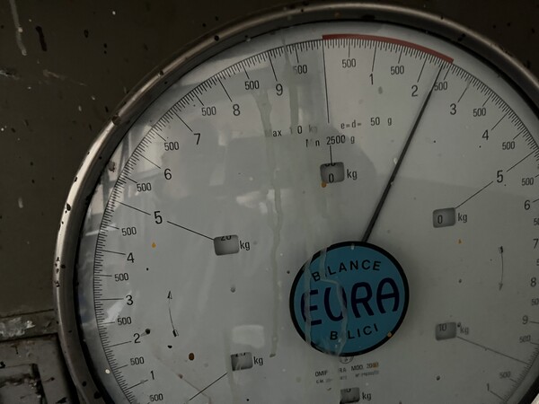 10#7932 Forno di essiccazione a gas e attrezzature per lavorazione pelli in vendita - foto 30