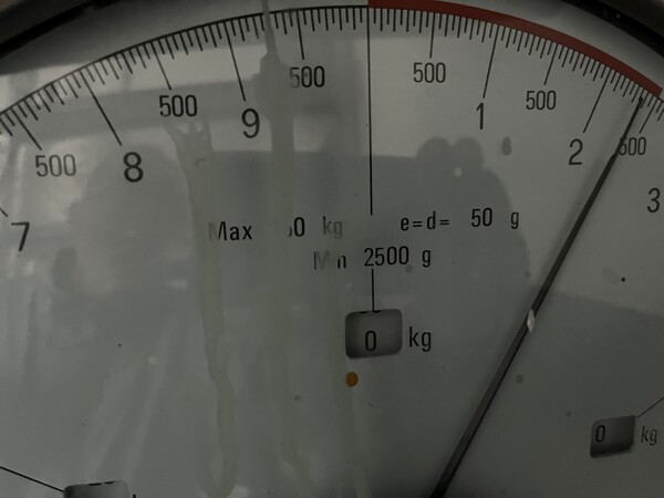 10#7932 Forno di essiccazione a gas e attrezzature per lavorazione pelli in vendita - foto 31