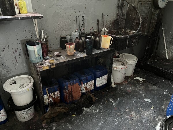 21#7932 Pellami finiti e semilavorati in vendita - foto 15
