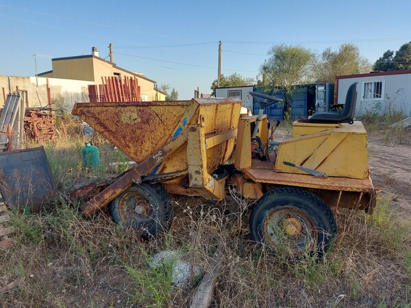 19#7937 Beton Dumper Fiori 4.60 in vendita - foto 2