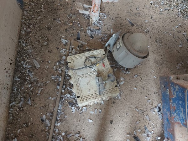 2#7957 Macchinari e attrezzature da cantiere in vendita - foto 12