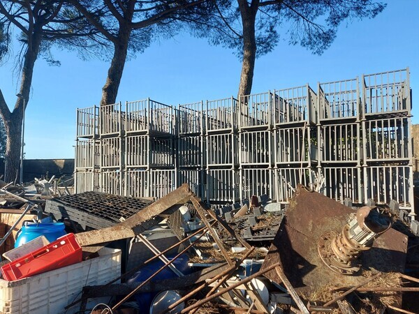 1#7972 Attrezzature per salumificio in vendita - foto 1