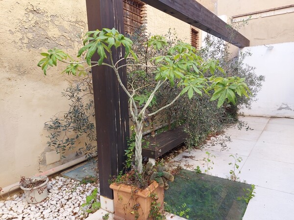 3#7994 Arredi giardino in vendita - foto 9