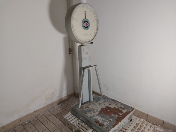 1#8001 Attrezzatura per la lavorazione delle carni in vendita - foto 8