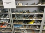 Image 9 - Assorted spare parts warehouse - Lot 231 (Auction 8002)