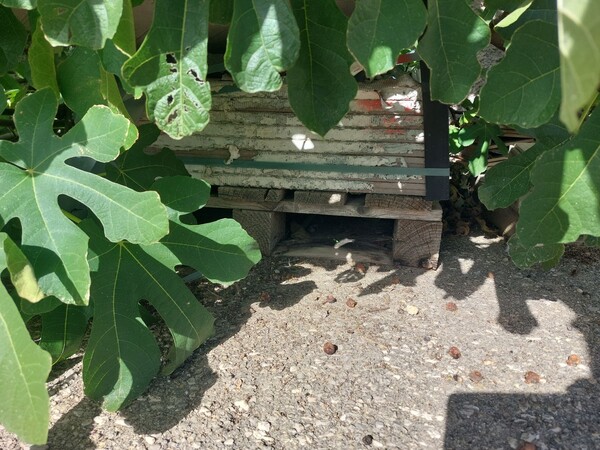 15#8015 Pavimenti e rivestimenti in vendita - foto 8