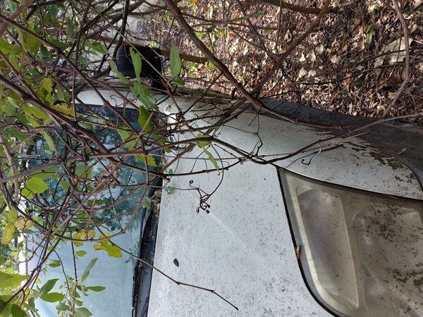 2#8030 Ford Transit Connect in vendita - foto 5