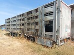 Immagine 1 - Semirimorchio per trasporto animali vivi Pezzaioli - Lotto 15 (Asta 8039)