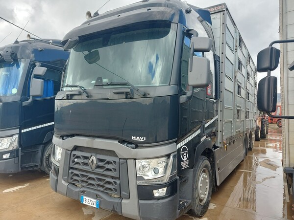 3#8039 Furgone per trasporto animali vivi Renault in vendita - foto 2