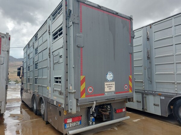 3#8039 Furgone per trasporto animali vivi Renault in vendita - foto 3