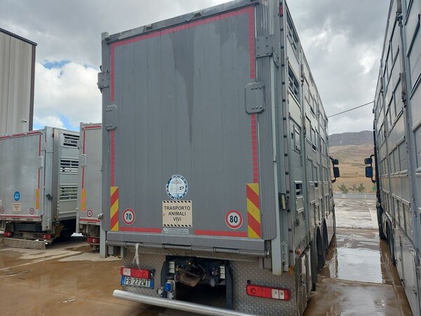 3#8039 Furgone per trasporto animali vivi Renault in vendita - foto 4