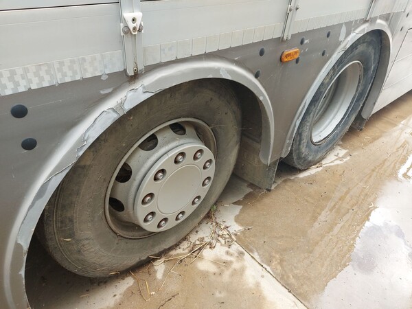 3#8039 Furgone per trasporto animali vivi Renault in vendita - foto 5