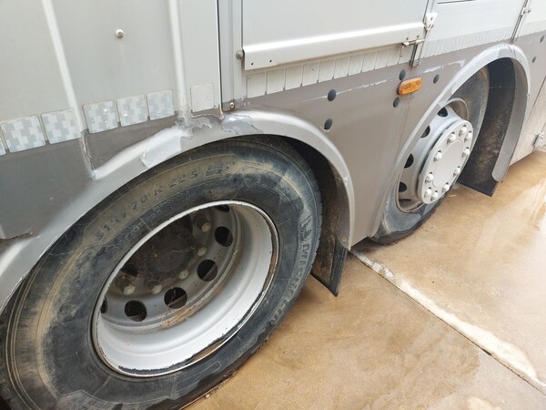 3#8039 Furgone per trasporto animali vivi Renault in vendita - foto 8