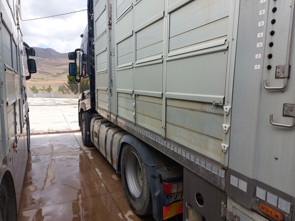 8#8039 Trattore cabinato Renault Truck in vendita - foto 3