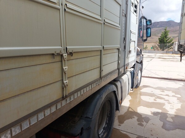 8#8039 Trattore cabinato Renault Truck in vendita - foto 8
