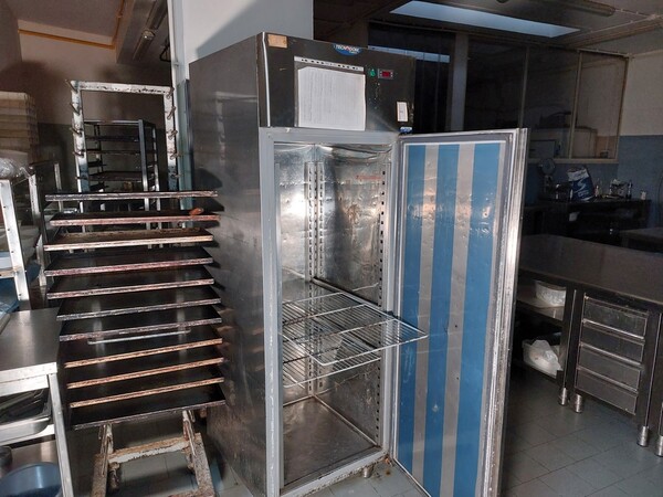 7#8059 Abbattitore Icematic e armadio congelatore Tenodom in vendita - foto 2