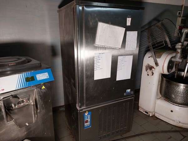 7#8059 Abbattitore Icematic e armadio congelatore Tenodom in vendita - foto 4