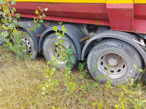 57#8091 Semirimorchio Minerva in vendita - foto 7