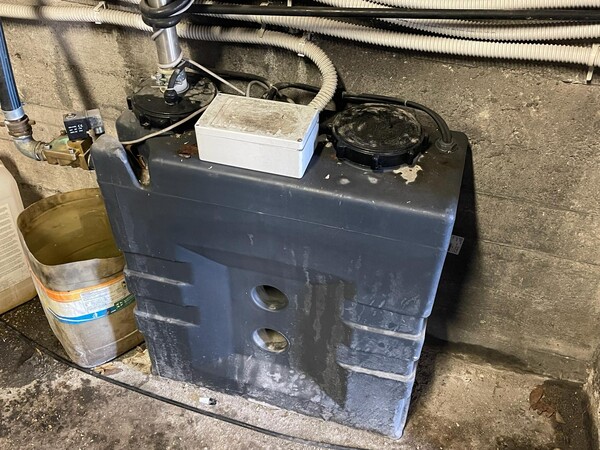 1#8199 Portale per lavaggio autoveicoli Washtec in vendita - foto 9
