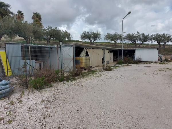 1#8211 Cessione di azienda svolgente l'esercizio di deposito carburanti in vendita - foto 4