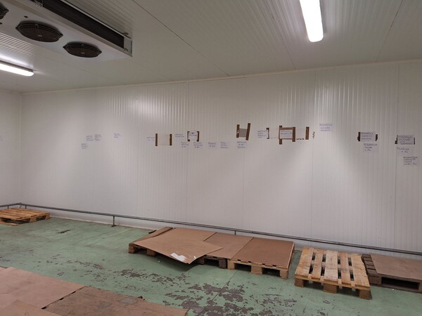 15#8242 Celle frigorifere in vendita - foto 12