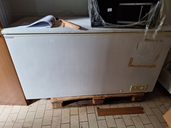 8#8242 Affettatrici Swedlinghaus e frigo in vendita - foto 4
