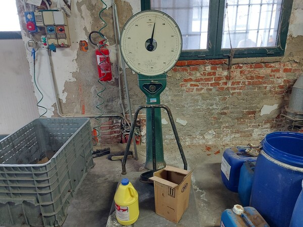 37#8259 Arredi e attrezzature per lavorazione e tintura pelli in vendita - foto 11