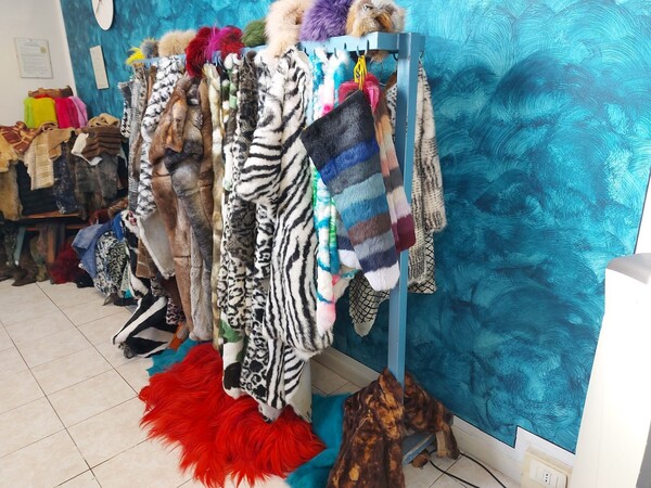 73#8259 Pellami e prodotti per la lavorazione in vendita - foto 2