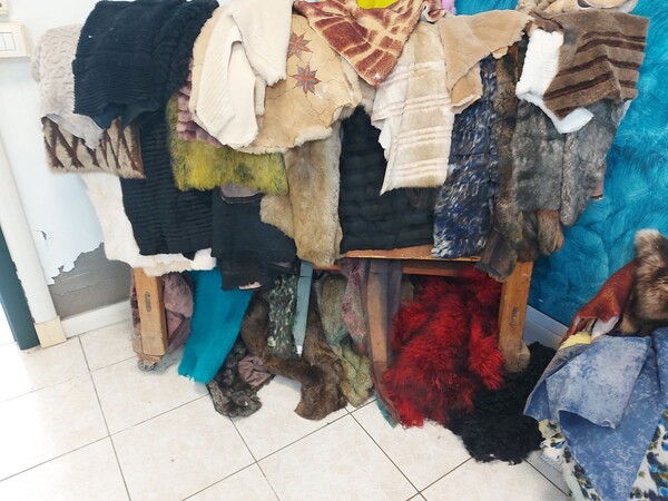 73#8259 Pellami e prodotti per la lavorazione in vendita - foto 3