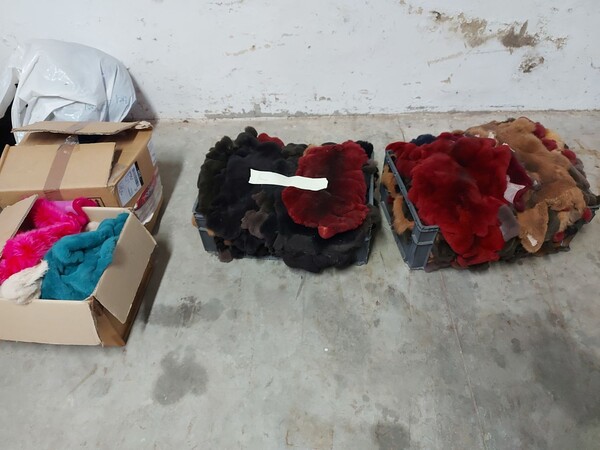 73#8259 Pellami e prodotti per la lavorazione in vendita - foto 6
