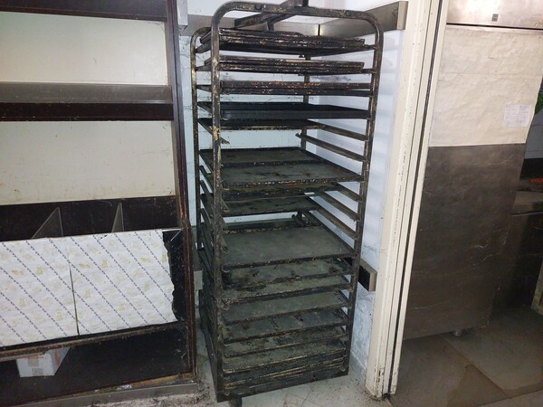 14#8270 Forno Tagliavini con carrelli e tritacarne in vendita - foto 2