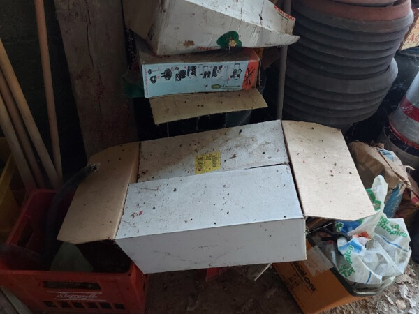 1#8290 Utensili da lavoro in vendita - foto 18