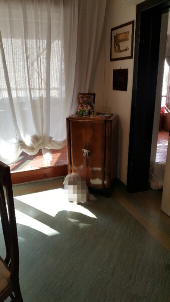 1#8325 Mobilio e arredo in vendita - foto 4