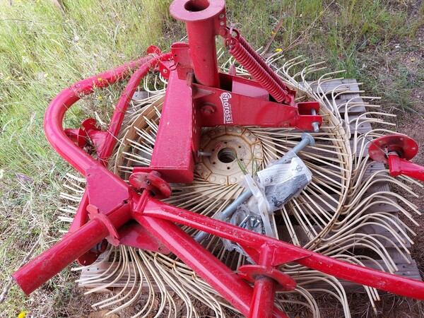 343#8349 Ranghinatore Rossi in vendita - foto 6