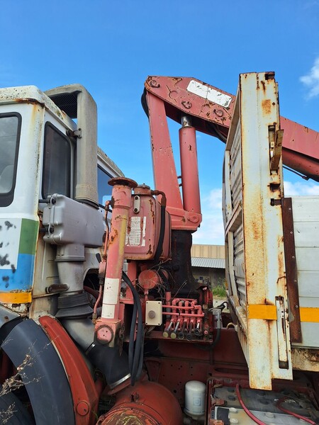 29#8350 AUTOCARRO IVECO GRU in vendita - foto 13