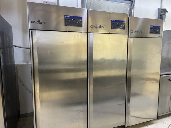 29#8382 Armadio fermalievitazione Coldline in vendita - foto 2