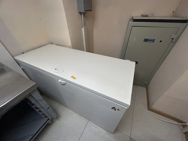 33#8382 Congelatore a pozzetto Smeg in vendita - foto 1