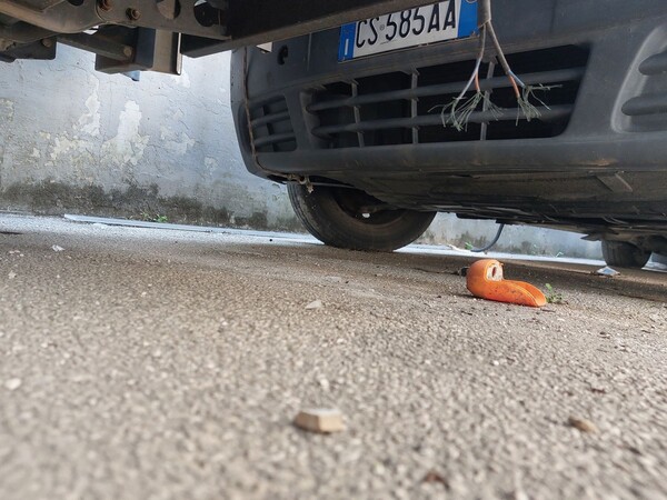 6#8385 Furgone Renault Trafic in vendita - foto 2
