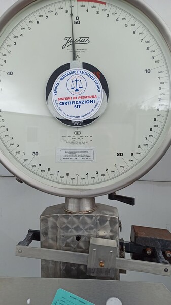 20#8391 Bilancia Justus da 50 kg in vendita - foto 3