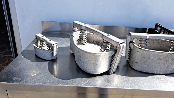 63#8391 10 stampi prosciutti in vendita - foto 7