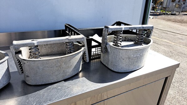 63#8391 10 stampi prosciutti in vendita - foto 8