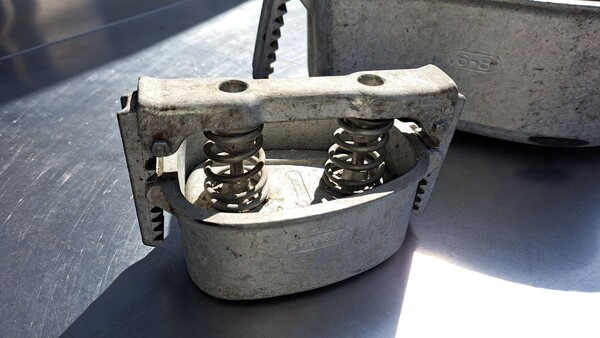 63#8391 10 stampi prosciutti in vendita - foto 9